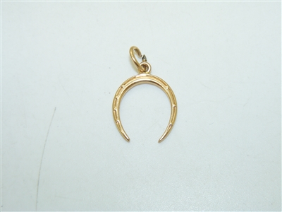 14k Yellow Gold Horse Shoe Pendant